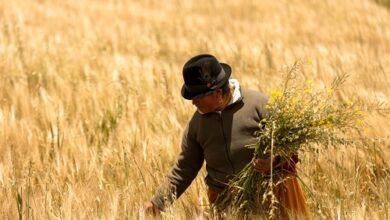 Toda una vida en el agro
