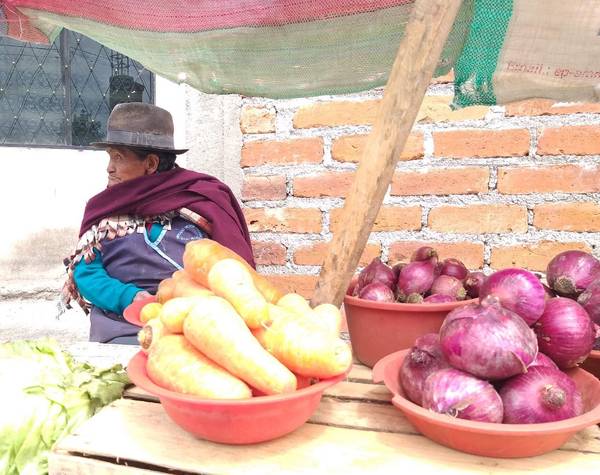 Testimonios Riobamba: María no deja de trabajar. http://LAPRENSA.COM.EC