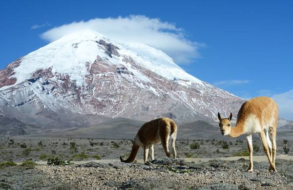 Zonal de Ambiente está en Tungurahua. https://laprensa.com.ec