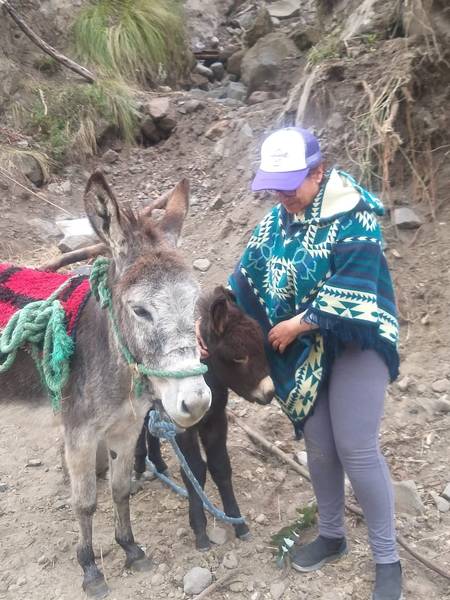 Reto Conoce Chimborazo