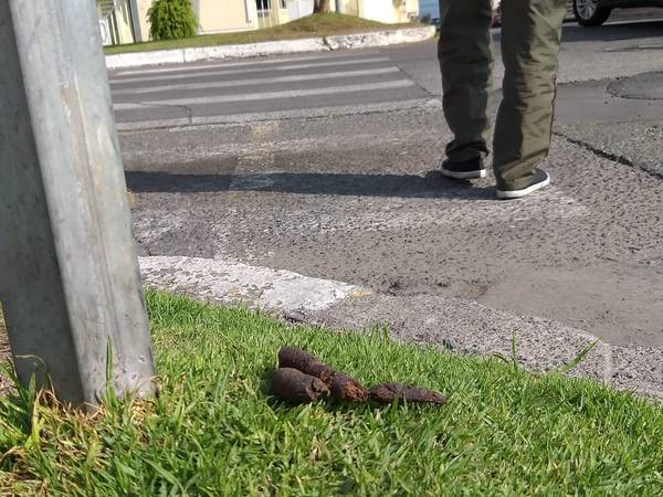 Excremento Riobamba