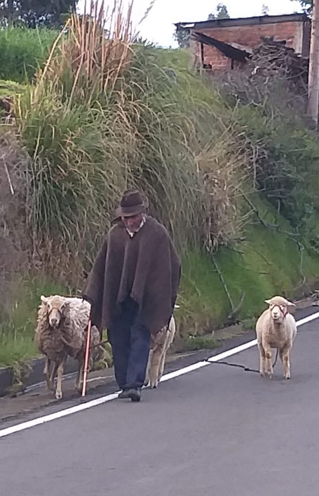 Desigualdad entre urbano y rural Chimborazo