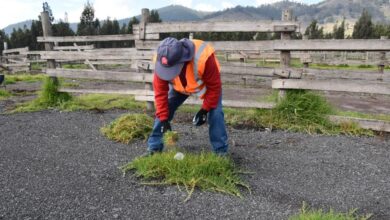 plaza de rastro riobamba