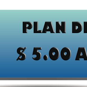 PLAN DIGITAL