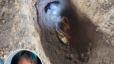 Niña desaparecida fue hallada sin vida