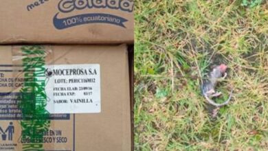 Desayunos escolares caducados siguen en las mismas bodegas desde hace 2 años