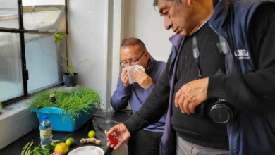 Remedios caseros contra la tos que los riobambeños nos comparten