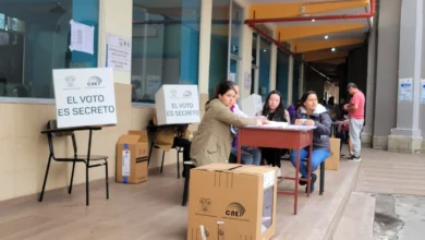 La consulta popular dejó una serie de detenidos por varias causas