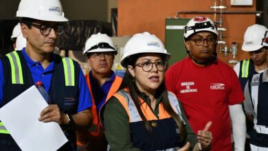 Ministra de Energía denunciada por presunto sabotaje eléctrico, esto habría provocado los actuales cortes de luz.