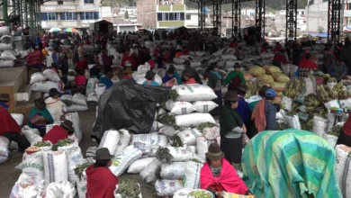 Feria intercultural de Guamote