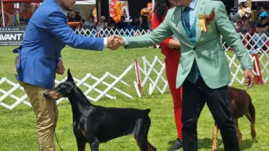 Perros de razas compitieron en Riobamba