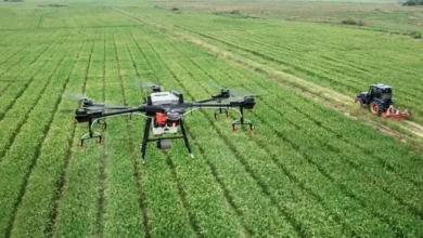 Modernizar la agricultura sostenible es la meta de varios programas estudiantiles