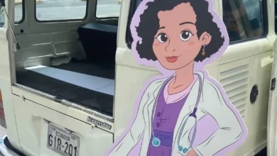 la kombi violeta 100 año del voto femenino