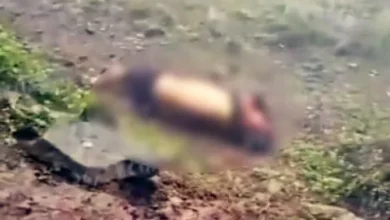 muertos en masacre dentro del cantón Camilo Ponce Enriquez.