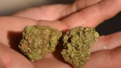 Fiscalía condena a hombre por trafico de drogas en Riobamba.