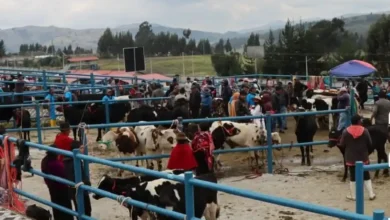 ¿Cuántas plazas de rastro hay en Chimborazo?