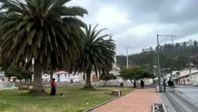 La Línea 8 y 12 de buses que van a Yaruquíes podrían ampliarse en Riobamba.