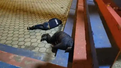 Un hombre muere a causa del alcohol. Estaba libando copiosamente con un "amigo", en unas canchas frente al redondel del Libro