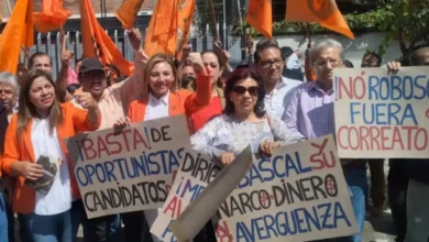 Las precandidaturas anunciadas causaron indiferencias internas en Izquierda Democrática.