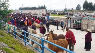 La plaza de rastro en San Juan tuvo una inversión de aproximadamente 2 millones de dólares.