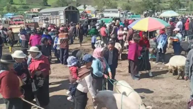 Plaza de rastro en Licto presentaría más costos para Riobamba.