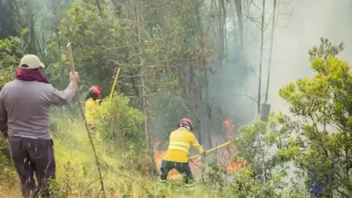 Un incendio forestal en Licto fue apagado por el Cuerpo de Bomberos de Riobamba. 2 hectáreas de vegetación nativa se consumieron