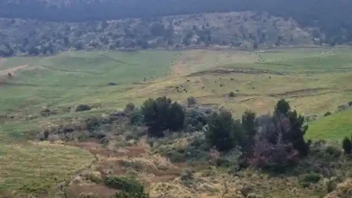 El agua contaminada en el páramo del cantón Guano afecta al consumo humano y a la producción agropecuaria, lo que preocupa a 7 sectores