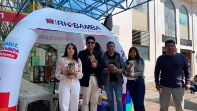 ¿Cómo adoptar perros en Riobamba?