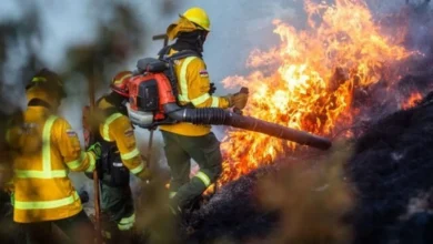 Bomberos son los héroes que arriesgan su vida en los incendios