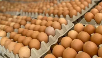 El precio de los huevos podrían subir por la sequía