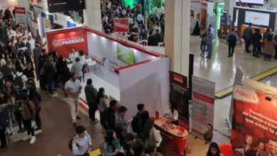Feria de empleo expo multitrabajos online 2024