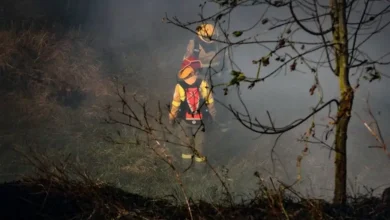 Incendio forestal afecta a bosque en Alausí