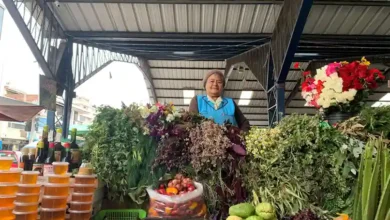 Plantas medicinales: Remedios y qué enfermedades curan
