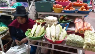 Precios de hortalizas y legumbres incrementaron por sequías