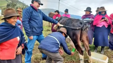 MAG potencia diversificación y capacitación en Chimborazo