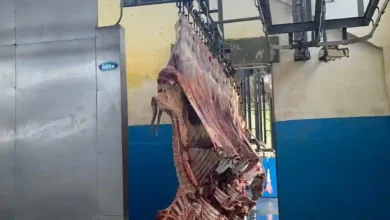 Camal Municipal de Riobamba, carne fresca y de calidad