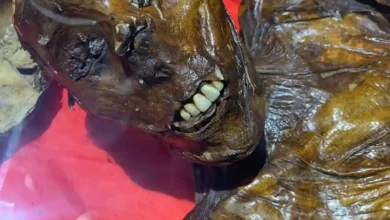 El Museo de Riobamba, cultura, historia y naturaleza