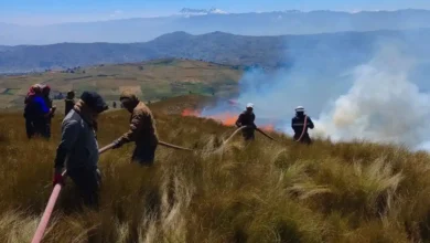 El incendio forestal en Colta-Chimborazo arrasó con varias hectáreas.