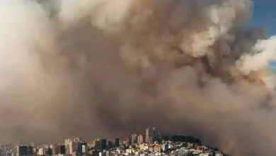 Incendio forestal en Guápulo afecta más de 120 hectáreas