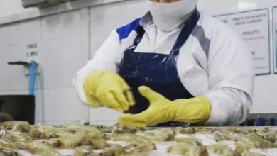 Ventas de empresas en Ecuador caen un 5% en junio de 2024