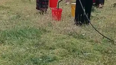 Cantón Colta se defendió de intento de robo con Justicia Indígena. A un profesor lo atacó presunto delincuente, y por ello le dieron 8 azotes