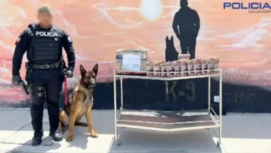 Colada morada con droga fue hallada en Quito