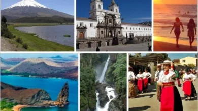 Feriado de noviembre 2024 en Ecuador, estos negocios cobrarán el IVA al 8% según indicó el Gobierno Nacional mediante decreto