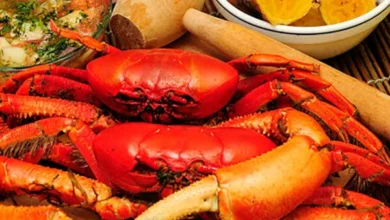 Fin de la veda de cangrejo en Ecuador, reanudaron la comercialización del crustáceo desde del 1 de octubre