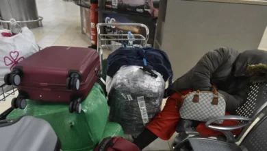 Fuga de cerebros: profesionales ecuatorianos migran por mejores oportunidades académicas y laborales en Canadá y Australia