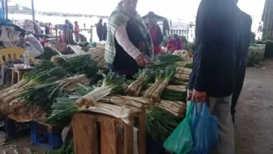 Mercado Mayorista de Riobamba busca controlar la competencia de cebolla blanca que proviene de Tungurahua.