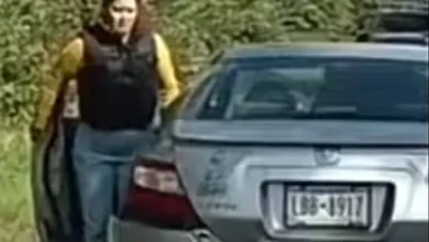 Migrantes ecuatorianos presuntamente provocan accidentes