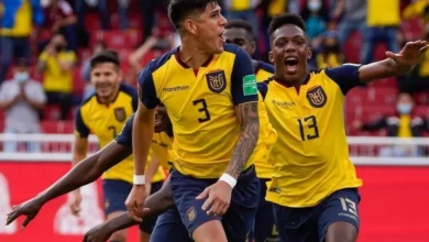 Ministerio de Energía borró comunicado de suspensión de cortes de luz