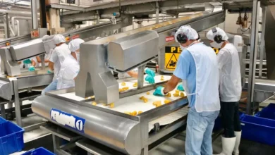 Proponen jornada laboral de cuatro días con turnos de 10 horas diarias para cumplir con las 40 horas, esto para reducir el consumo de luz.