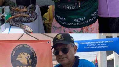 Guayusa y stevia: productos destacados en la Feria Randi Randi